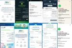 Xuống tiền vì tin GV tiktok, người học 'ngã ngửa' với lớp online của bà Ngọc Anh