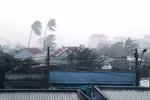 Bộ Y tế họp khẩn khắc phục hậu quả sau bão số 12