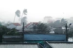 Bộ Y tế họp khẩn khắc phục hậu quả sau bão số 12
