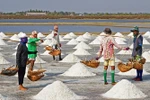 Quy định điều kiện chế biến, sản xuất, kinh doanh muối