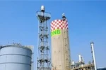 Nhà máy Đạm Ninh Bình lỗ hàng trăm tỷ, có cả bổ nhiệm sai quy trình