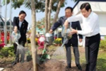 Chủ tịch nước phát động “Tết trồng cây đời đời nhớ ơn Bác Hồ”