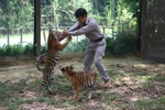 Vinpearl Safari đón nhiều thú non quý hiếm chào đời