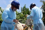 Bộ Y tế yêu cầu tăng cường công tác phòng chống dịch tại các địa phương