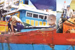 Ngư dân được hỗ trợ 10 nghìn tỷ, vay vốn lãi suất 0% từ 10-15 năm