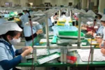 Thủ tướng chỉ thị chấn chỉnh hoạt động thanh tra, kiểm tra doanh nghiệp