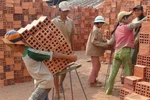 Thủ tướng đồng ý chi hơn 9,2 triệu USD giảm thiểu lao động trẻ em