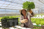 Dành khoảng 60 nghìn tỷ đồng đầu tư các khu nông nghiệp công nghệ cao
