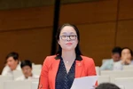 "Lời hứa là áp lực lớn nhất của một đại biểu Quốc hội"