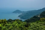 Thanh tra toàn diện các dự án trên bán đảo Sơn Trà
