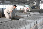 Sử dụng tro, xỉ của nhà máy nhiệt điện để sản xuất vật liệu xây dựng