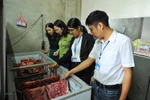Ban hành kế hoạch triển khai “Tháng hành động vì an toàn thực phẩm” năm 2020