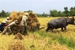 Vì sao chúng ta vẫn cứ nghèo?
