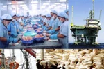 Kinh tế Việt Nam trong hai, ba năm tới còn nhiều khó khăn?