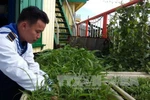 Bà Đỗ Thị Kim Liên chia sẻ khó khăn, vất vả với những người lính nhà giàn DK1