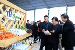 Vì sức khỏe người dân, Tập đoàn TH đầu tư công nghệ cao vào nông nghiệp