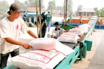 Năm 2030 Việt Nam sẽ có thương hiệu gạo hàng đầu thế giới 