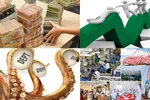 Cần luật chuyên biệt để xử lý nợ xấu