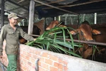  “Cả nước chung tay - không để ai bị bỏ lại phía sau”