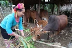 Tập trung huy động nguồn lực thực hiện hai chương trình mục tiêu quốc gia