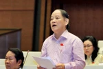 Đại biểu Quốc hội chất vấn chuyện chặt cây xanh Hà Nội và lấp sông Đồng Nai