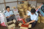 Kiên quyết không cho phép có “vùng cấm” trong phòng, chống buôn lậu