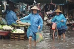 Chuyên gia cảnh báo thận trọng về an toàn thực phẩm mùa mưa lũ