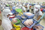 Doanh nghiệp khó tiếp cận vốn, Ngân hàng nhà nước lo "tiền lệ" và "bị kiện"