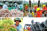Chính phủ chuẩn bị tổng điều tra kinh tế
