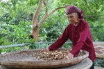 Mẹ Việt Nam Anh hùng: Những người 'chắt thương đau' thành 'nhựa sống'