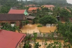 Thủ tướng phát động quyên góp ủng hộ đồng bào miền Trung