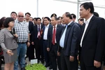 100 nghìn tỷ đồng hỗ trợ phát triển nông nghiệp ứng dụng công nghệ cao