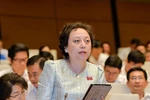 Đừng nghĩ là Đại biểu Quốc hội thích nói thế nào cũng được!
