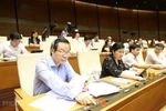 Đại biểu Quốc hội: Cần tiến hành thêm nhiều giám sát độc lập