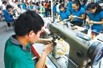 Thủ tướng phân công soạn thảo 18 luật, pháp lệnh, nghị quyết 
