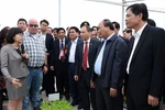 Không để tồn tại mãi hình ảnh "con trâu đi trước, cái cày theo sau"