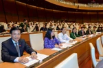 “Chất lượng làm luật ngay từ đầu đã có vấn đề”