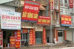 Bộ trưởng Trịnh Đình Dũng quyết dẹp bỏ bát nháo cò nhà đất