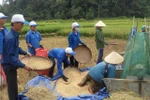 Nghị lực chàng sinh viên nghèo “5 tốt”