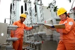 Phê duyệt Đề án tái cơ cấu Tập đoàn Điện lực Việt Nam