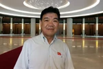 Đại biểu Quốc hội ủng hộ dùng vũ lực trong những trường hợp đặc biệt
