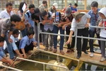 Lương khởi điểm 10-14 triệu/tháng nhưng vẫn ít HS chọn học ngành Cấp thoát nước