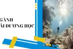 Trưởng khoa nêu lý do tuyển sinh ngành Hải dương học chưa đạt 50% chỉ tiêu/năm