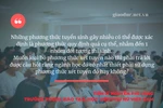 Ít phương thức xét tuyển sẽ giúp thí sinh tránh được sự phân tán, khó hiểu