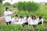 Nếu tăng ngân sách đầu tư GDĐH thì phân bổ theo KPIs, tránh cào bằng