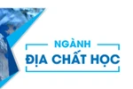 Nhiều ngành thị trường quan tâm, SV được hỗ trợ nhiều nhưng người học không chọn