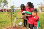 Phê duyệt Đề án trồng 1 tỷ cây xanh