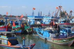 Quyết tâm gỡ cảnh báo 'thẻ vàng' của EC