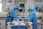 Chuyển giao công nghệ sản xuất kháng thể đa dòng điều trị COVID của Pháp cho VN