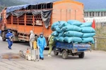Giải quyết kịp thời các vấn đề liên quan đến vận tải, lưu thông hàng hóa